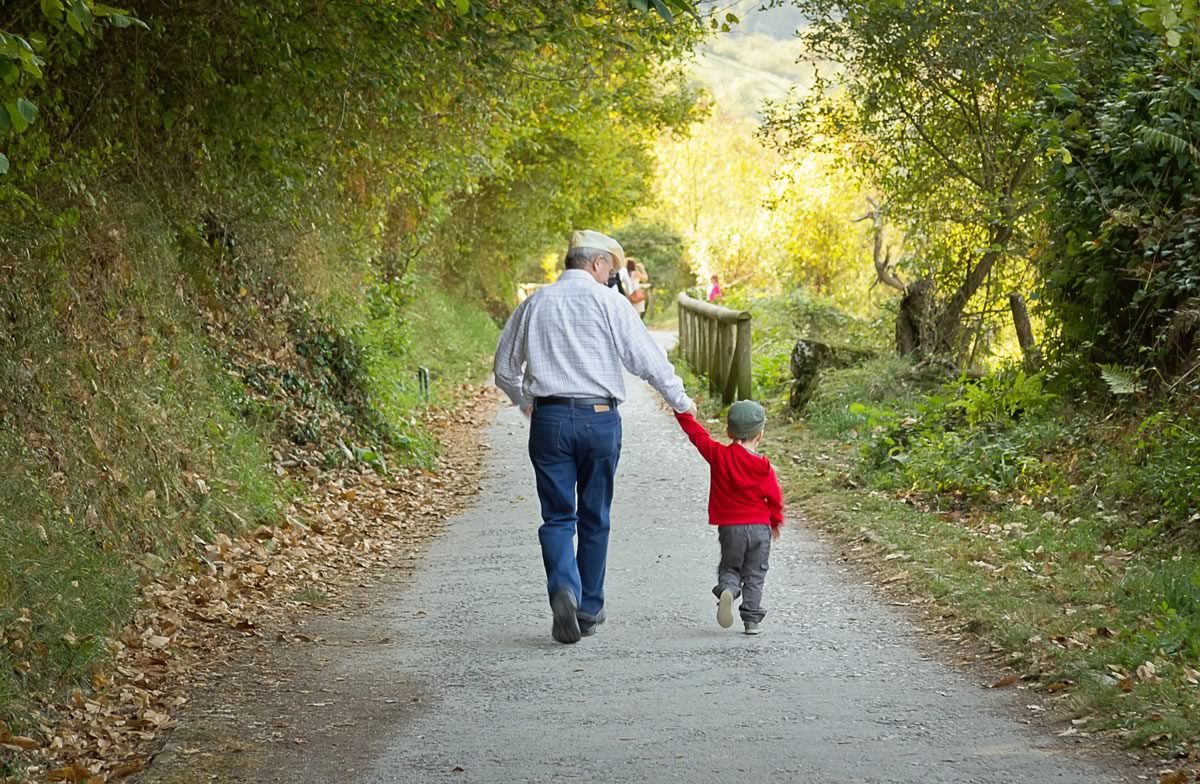 A grandparent and grandchild walking down a wooded path holding hands. 